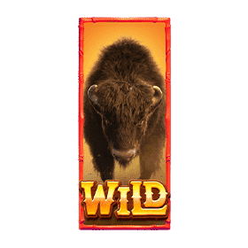 Wild Buffalo Win